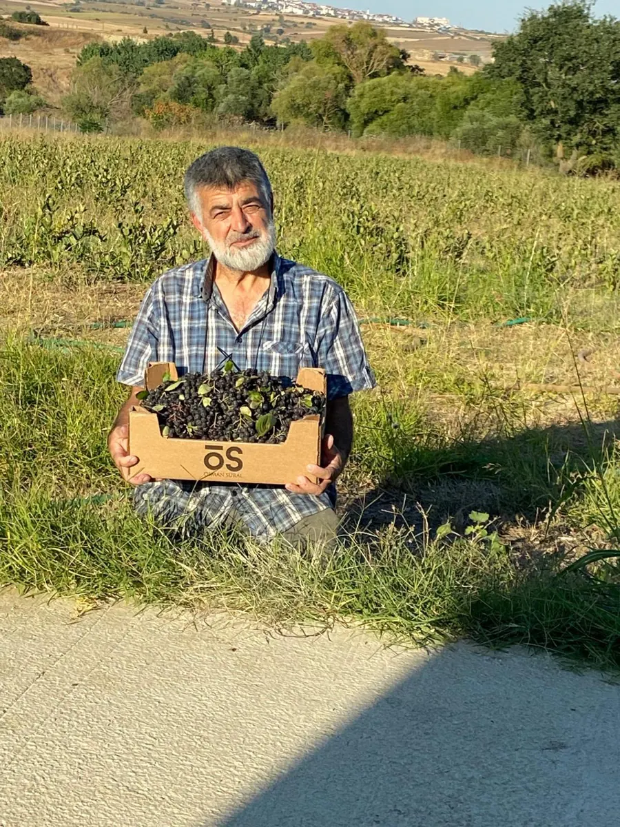 Yaşar Gündoğan, Malkara'daki aronya bahçesinde elinde aronya dolu bir kasayla